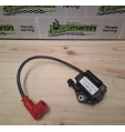 Bobina Rotax EVO 2015 Micro-Junior-Mini-Max 2022 DD2