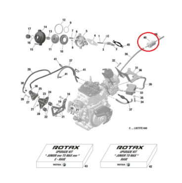 Filtro Gasolina Rotax