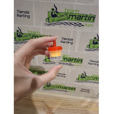 Filtro Gasolina Economico