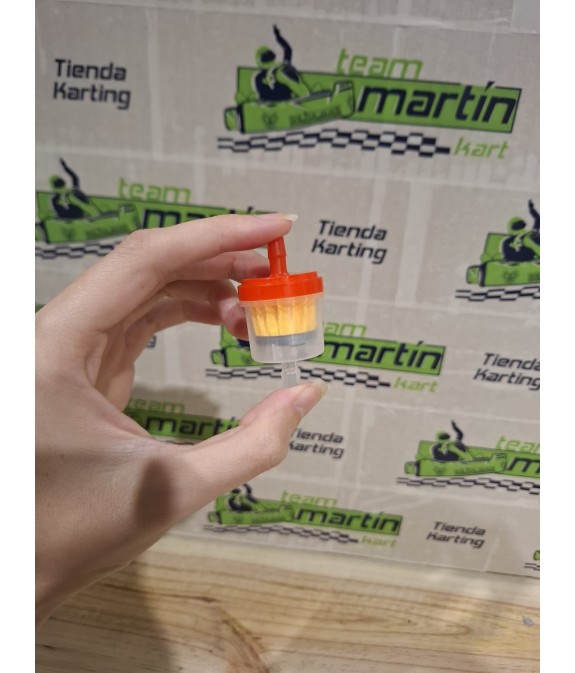 Filtro Gasolina Economico