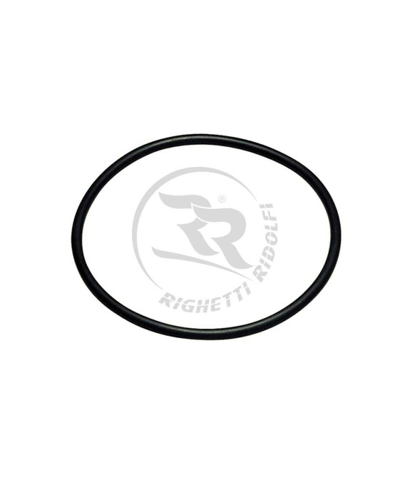 Correa Bomba Agua Kart | Repuesto Refrigeración | Team Martin Kart