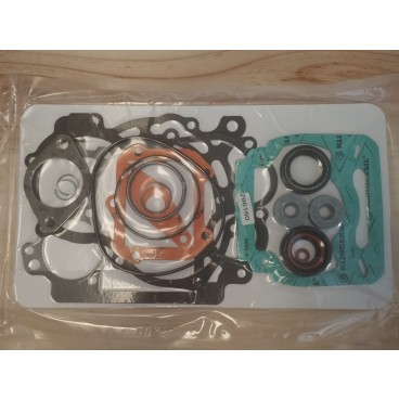 Kit Juntas Completo Rotax Max