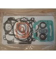 Kit Juntas Completo Rotax Max