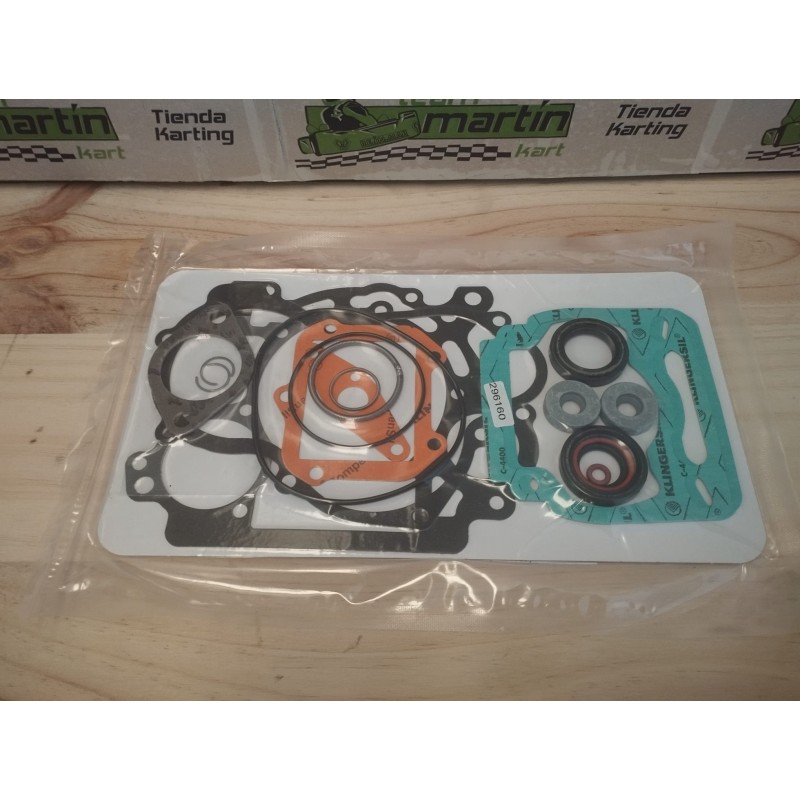 Kit Juntas Completo Rotax Max