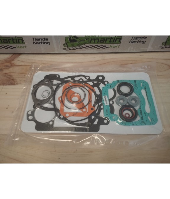 Kit Juntas Completo Rotax Max | Recambios Motor | Team Martin Kart