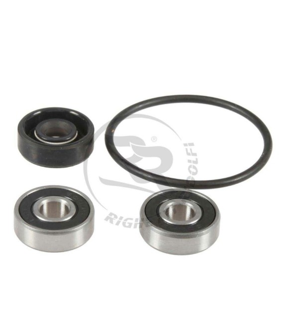 Kit Reparación Bomba de Agua Righetti Ridolfi | Recambios Karting | Team Martín Kart