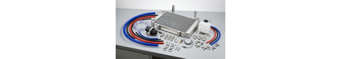 Repuestos de motor para karting | Piezas oficiales y compatibles