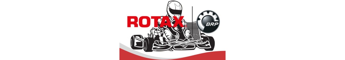 Repuestos Rotax